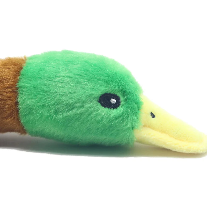 Toy Duck