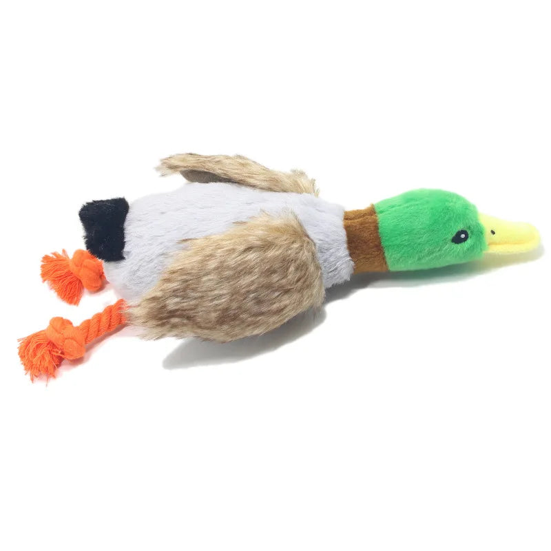 Toy Duck